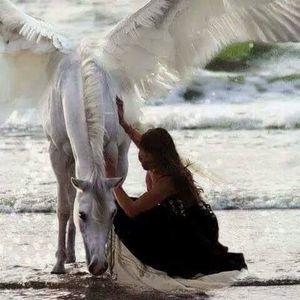 Meet your Posher, Claudia